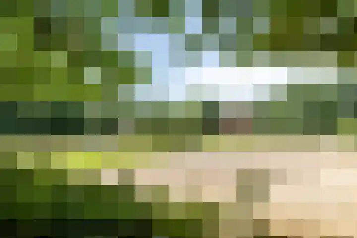 Grazenseweg 1 a Strijbeek thumbnail 40