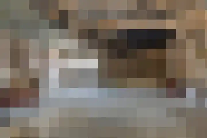 Grazenseweg 1 a Strijbeek thumbnail 41