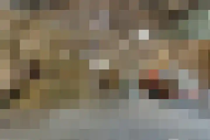 Grazenseweg 1 a Strijbeek thumbnail 42