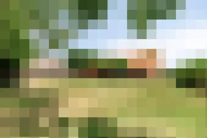 Grazenseweg 1 a Strijbeek thumbnail 48