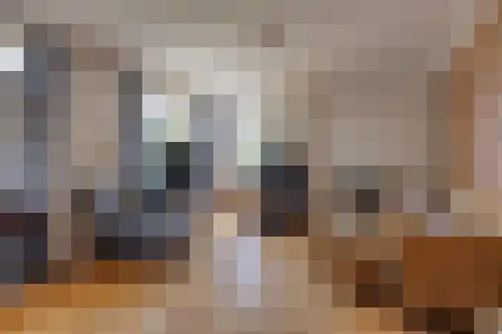 Grazenseweg 1 a Strijbeek thumbnail 6