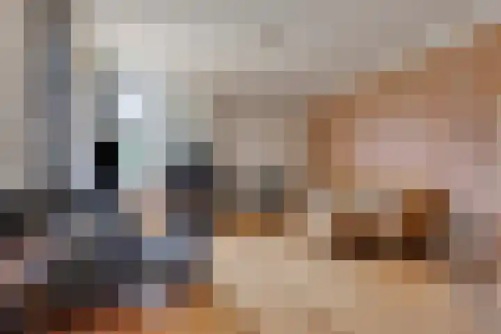 Grazenseweg 1 a Strijbeek thumbnail 7