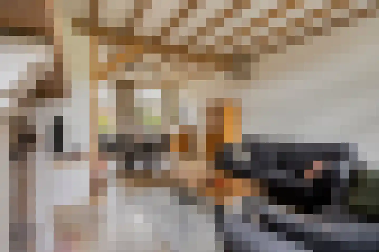 Grazenseweg 12 Strijbeek thumbnail 10