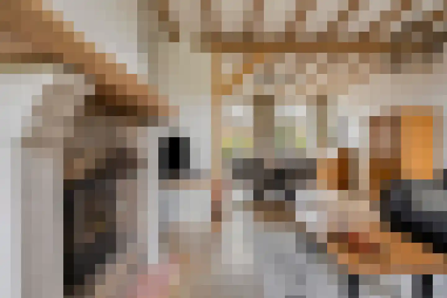 Grazenseweg 12 Strijbeek thumbnail 11