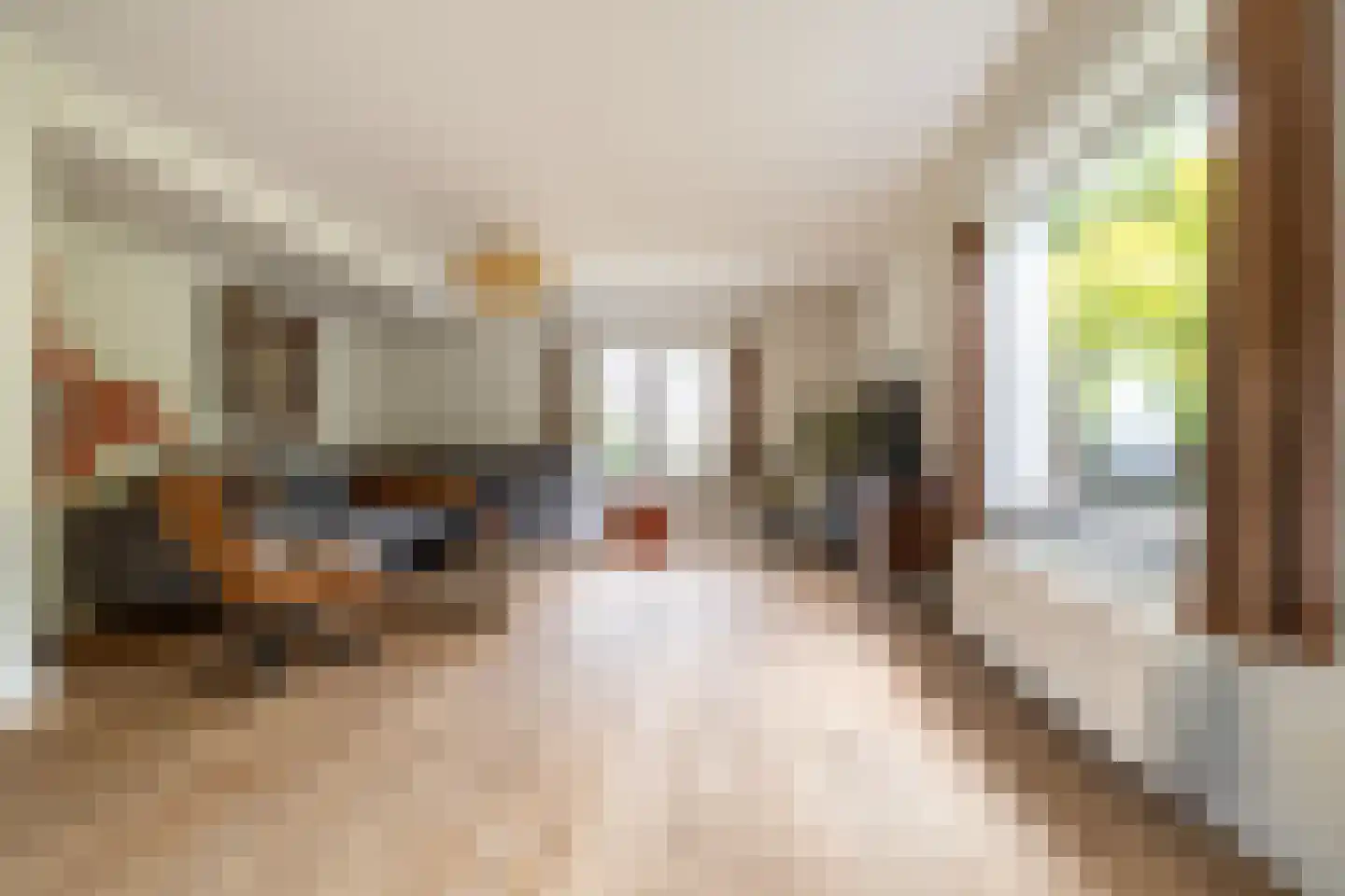 Grazenseweg 12 Strijbeek thumbnail 15