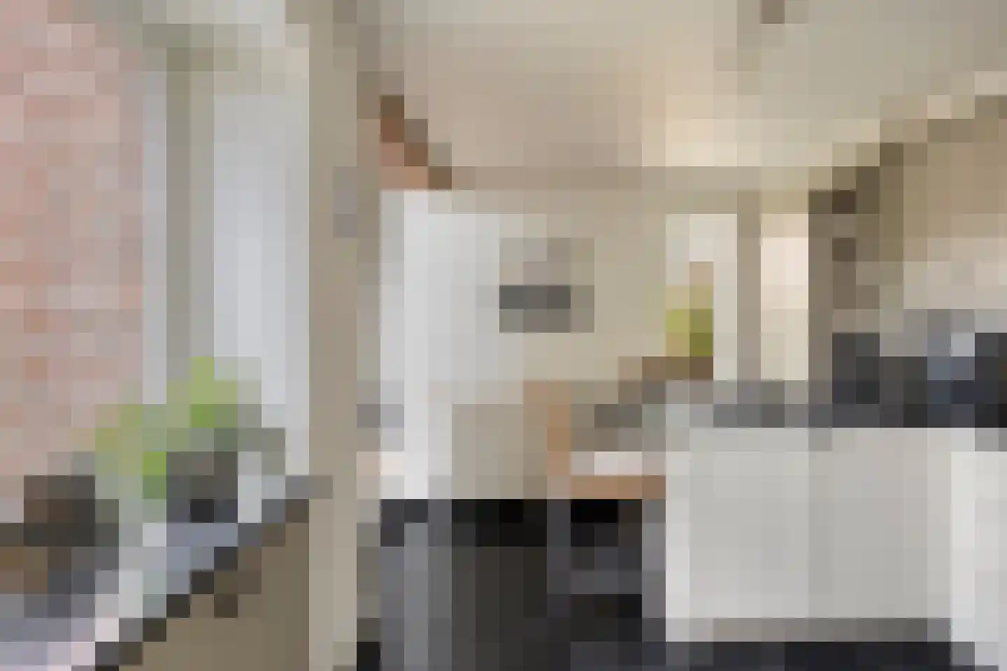 Grazenseweg 12 Strijbeek thumbnail 16
