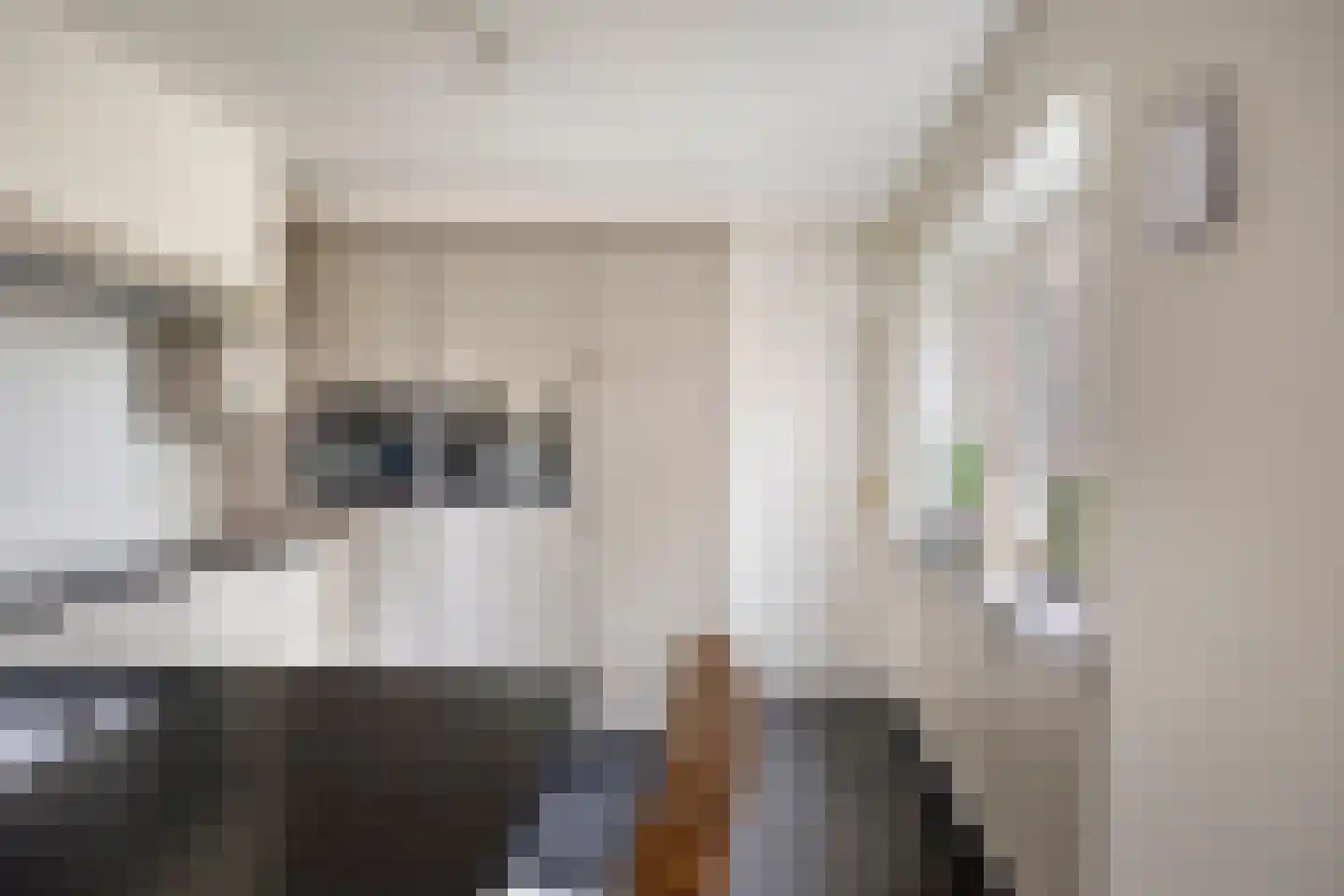Grazenseweg 12 Strijbeek thumbnail 17