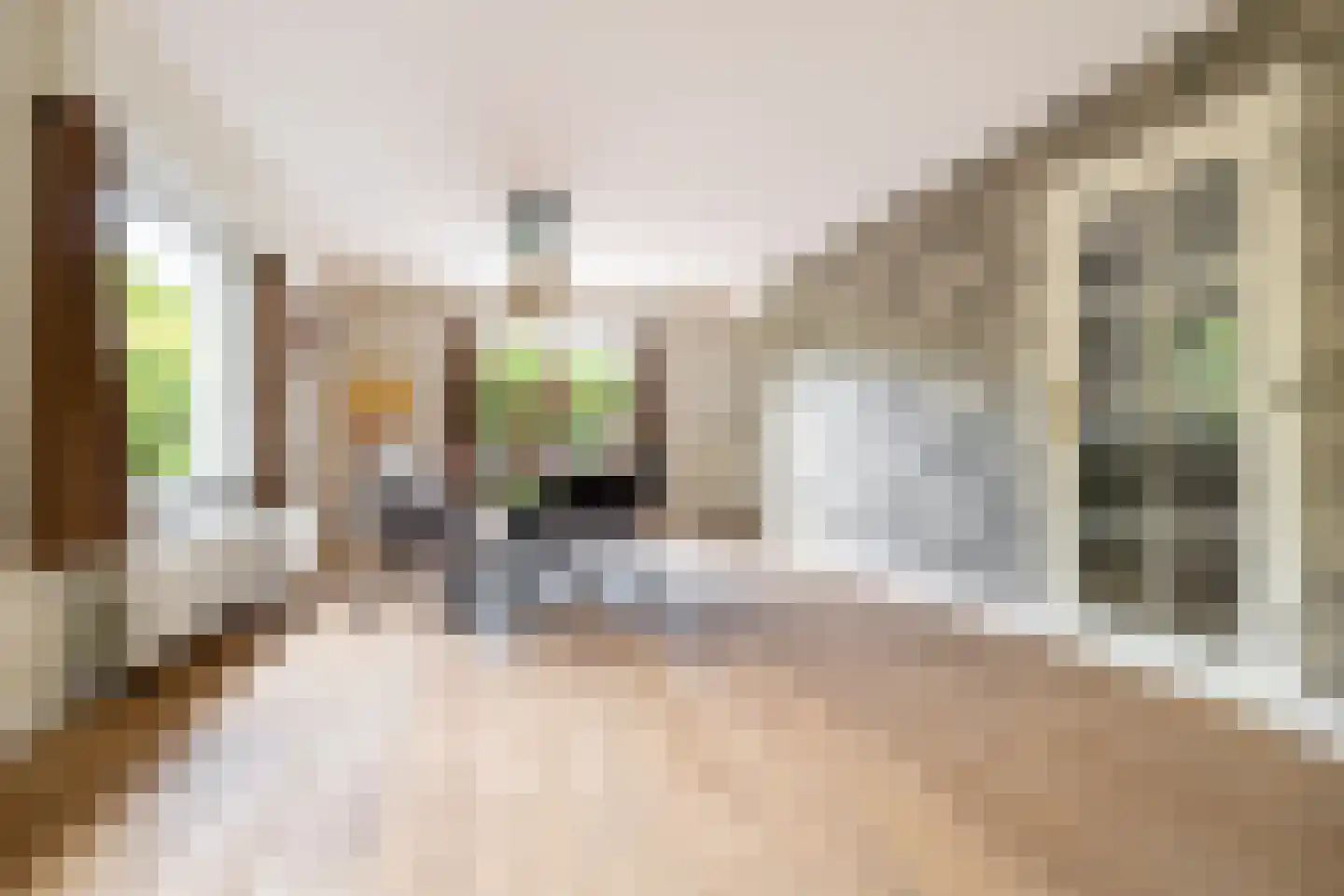Grazenseweg 12 Strijbeek thumbnail 19
