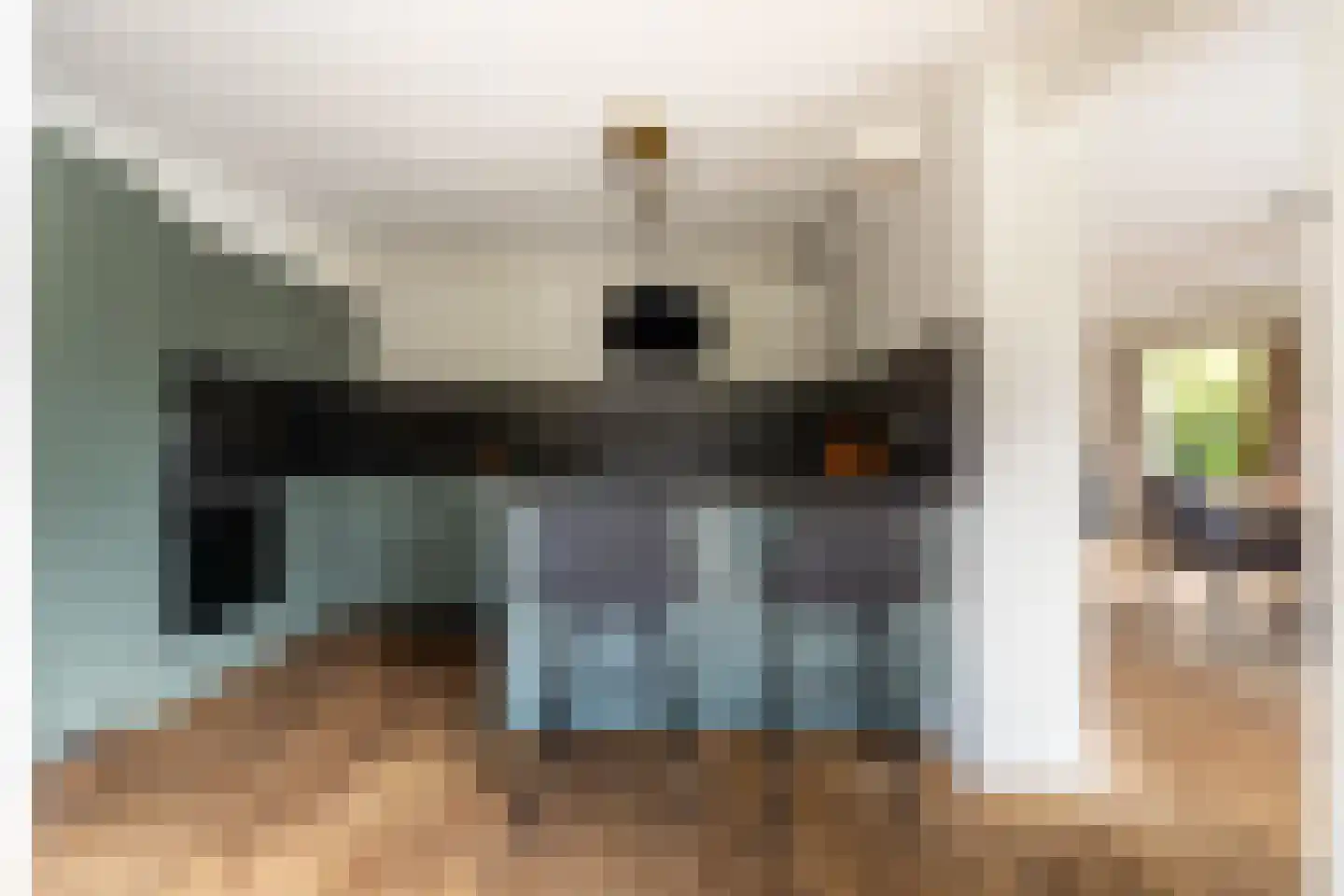 Grazenseweg 12 Strijbeek thumbnail 21