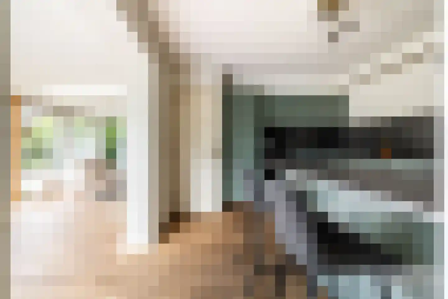 Grazenseweg 12 Strijbeek thumbnail 22