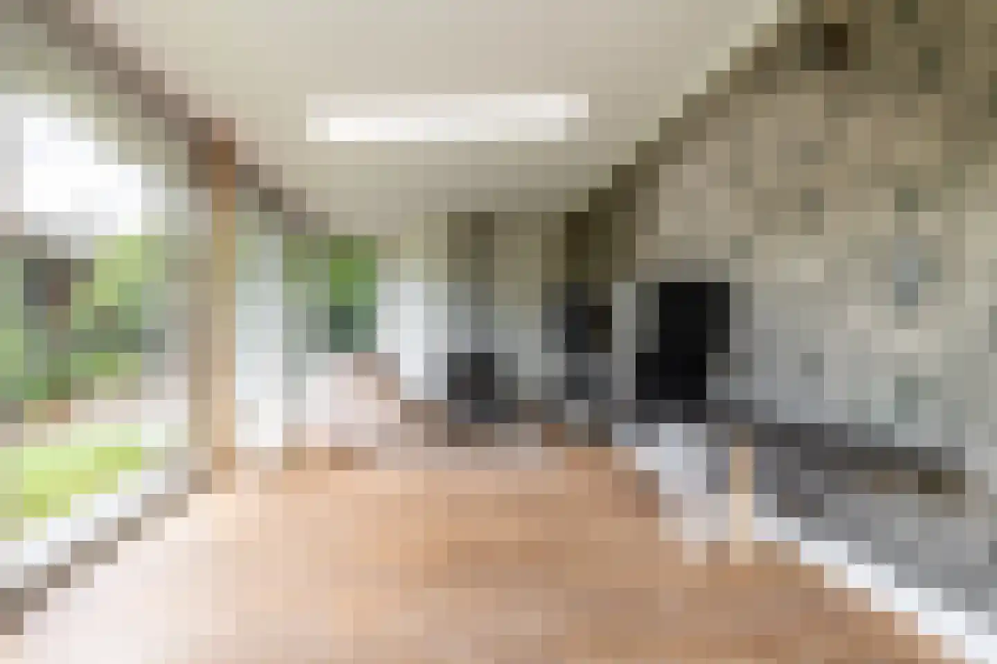 Grazenseweg 12 Strijbeek thumbnail 25