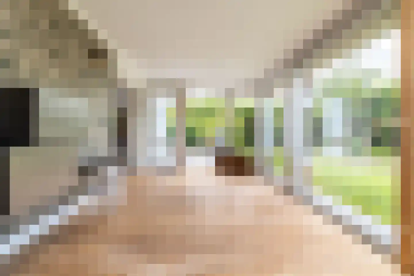 Grazenseweg 12 Strijbeek thumbnail 26
