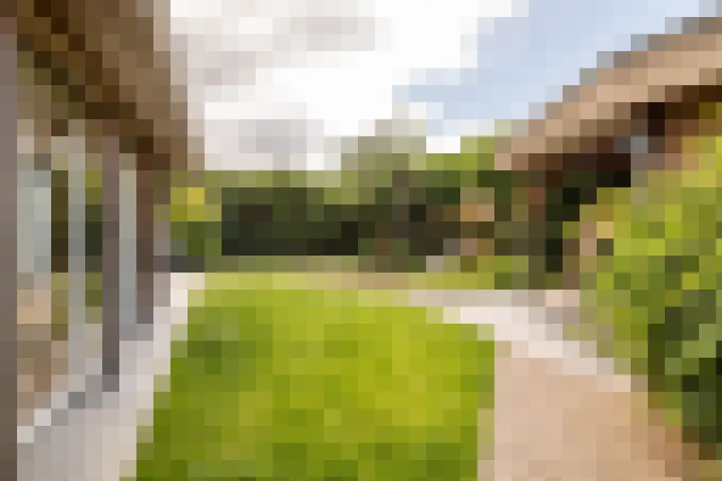 Grazenseweg 12 Strijbeek thumbnail 36