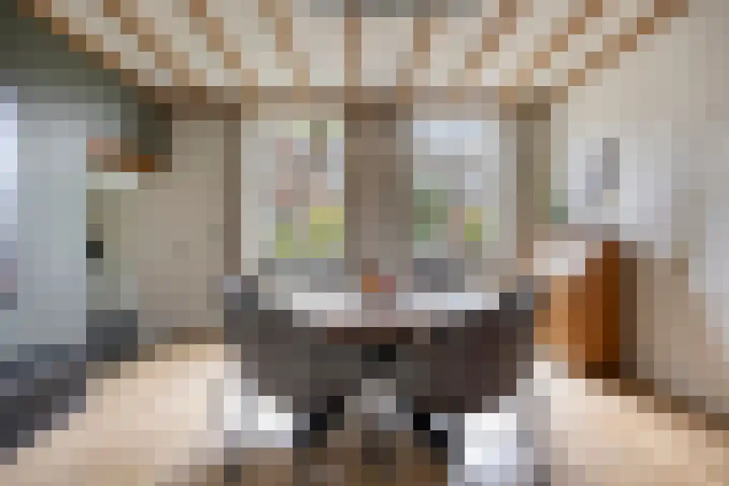 Grazenseweg 12 Strijbeek thumbnail 4