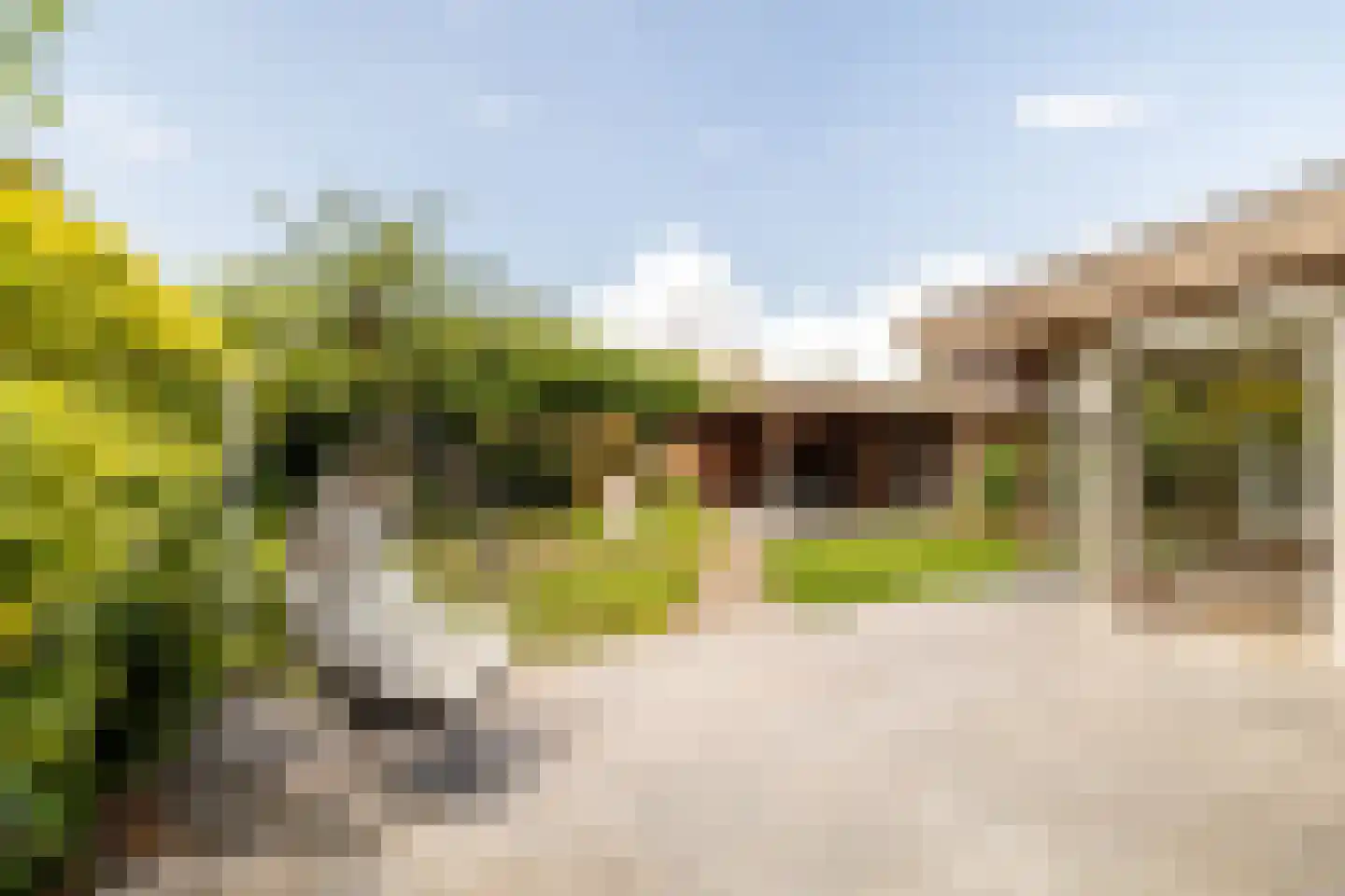 Grazenseweg 12 Strijbeek thumbnail 4
