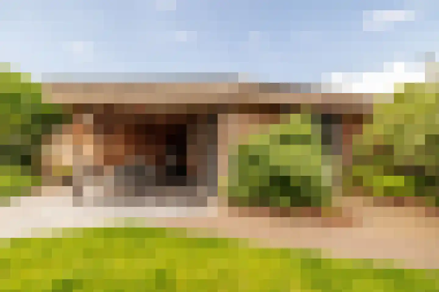 Grazenseweg 12 Strijbeek thumbnail 40