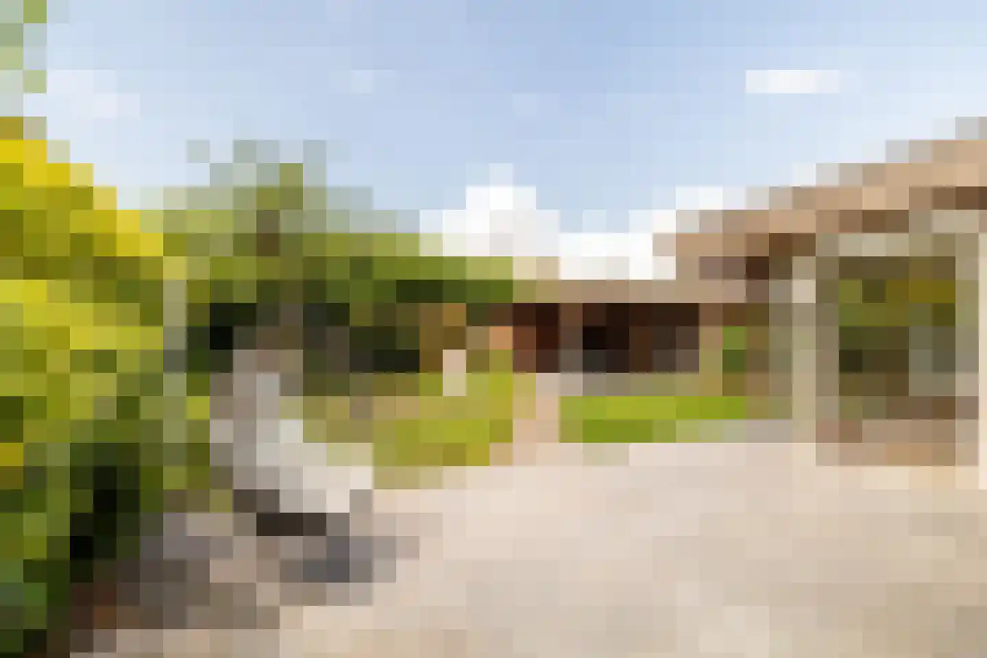 Grazenseweg 12 Strijbeek thumbnail 43