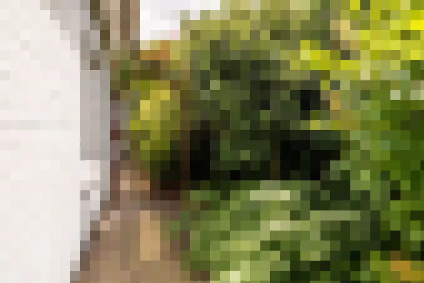 Grazenseweg 12 Strijbeek thumbnail 44