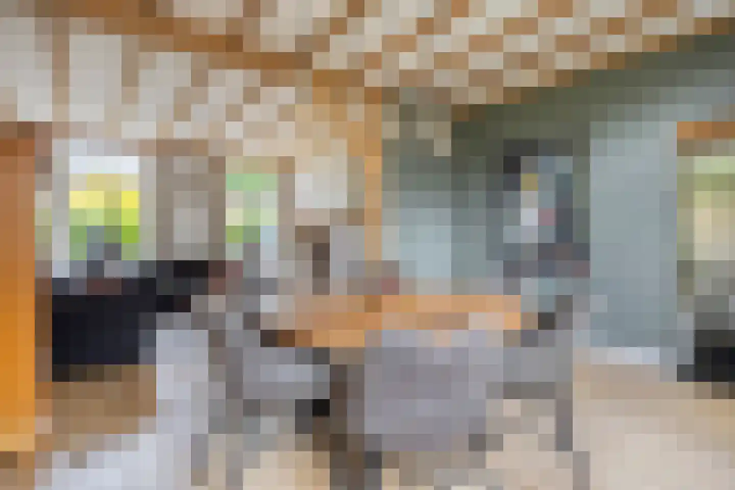 Grazenseweg 12 Strijbeek thumbnail 7