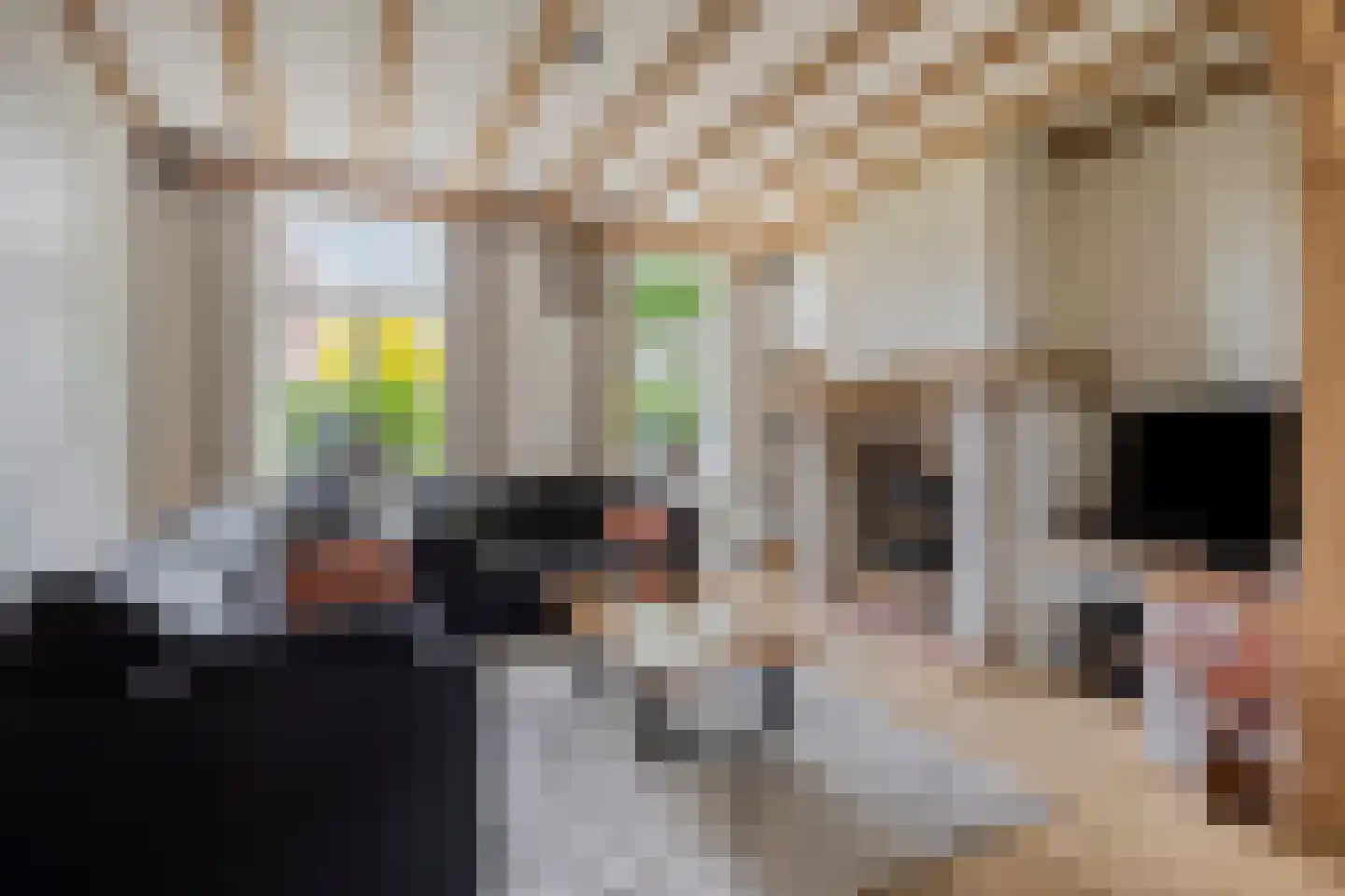 Grazenseweg 12 Strijbeek thumbnail 9