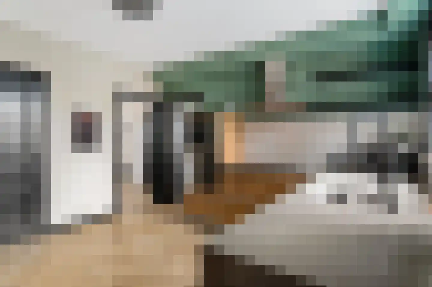 Grazenseweg 5 Strijbeek thumbnail 11
