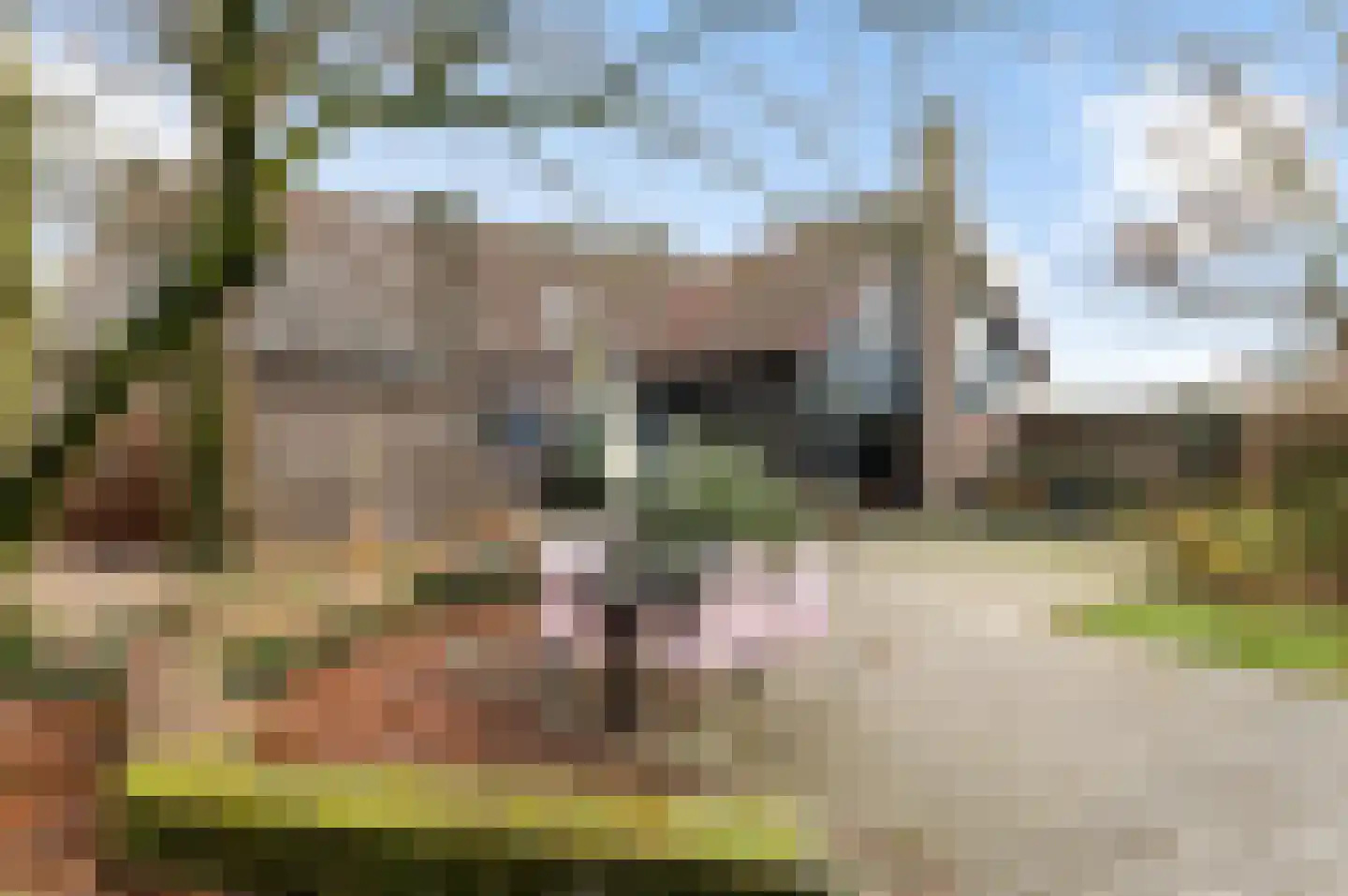 Grazenseweg 5 Strijbeek thumbnail 35