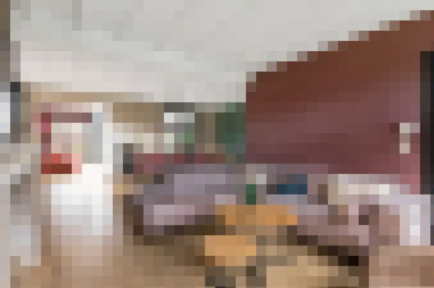Grazenseweg 5 Strijbeek thumbnail 36