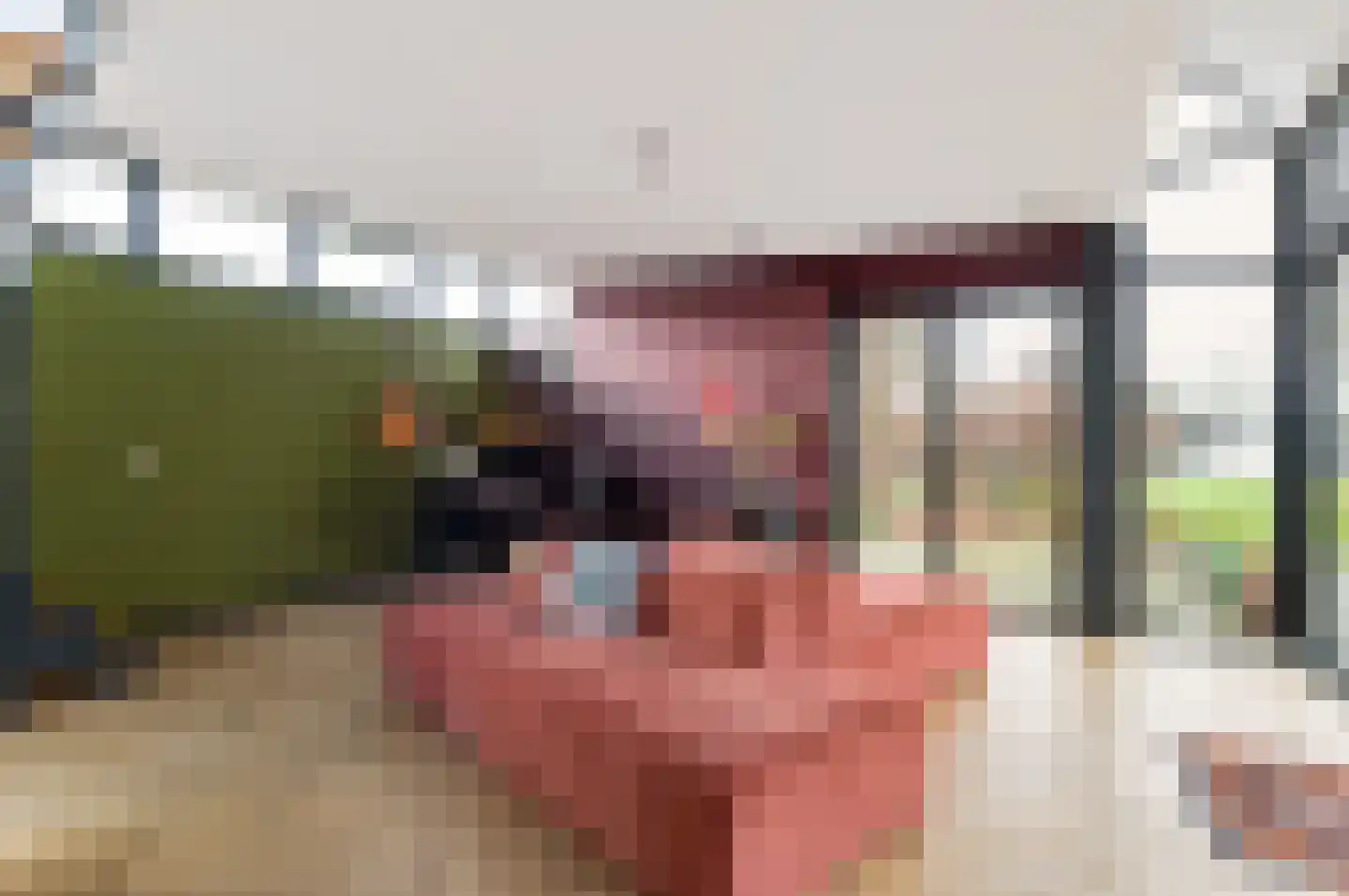 Grazenseweg 5 Strijbeek thumbnail 6
