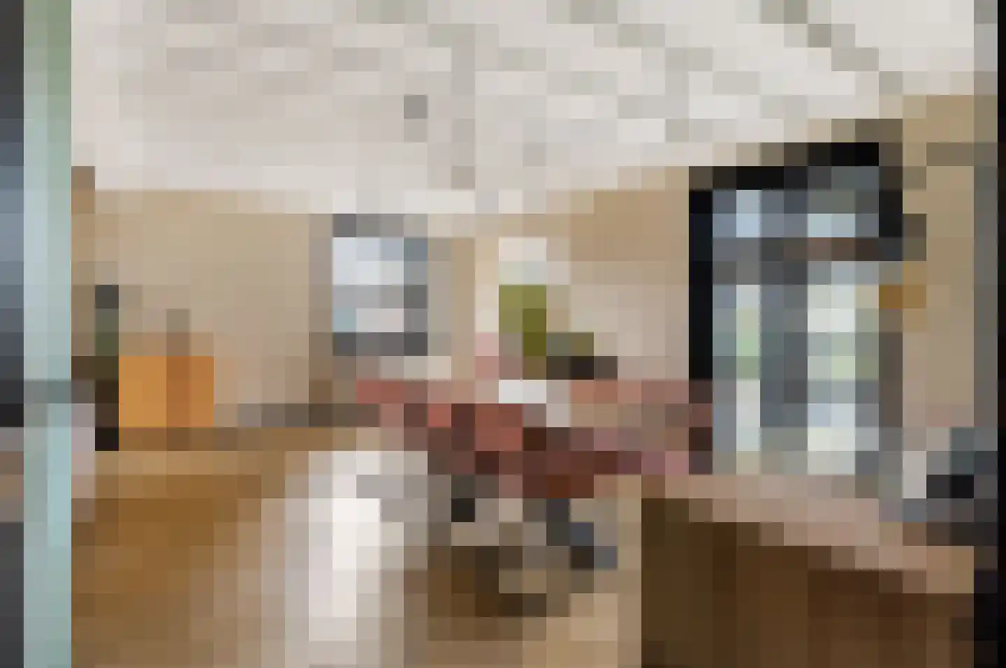 Grazenseweg 5 Strijbeek thumbnail 9