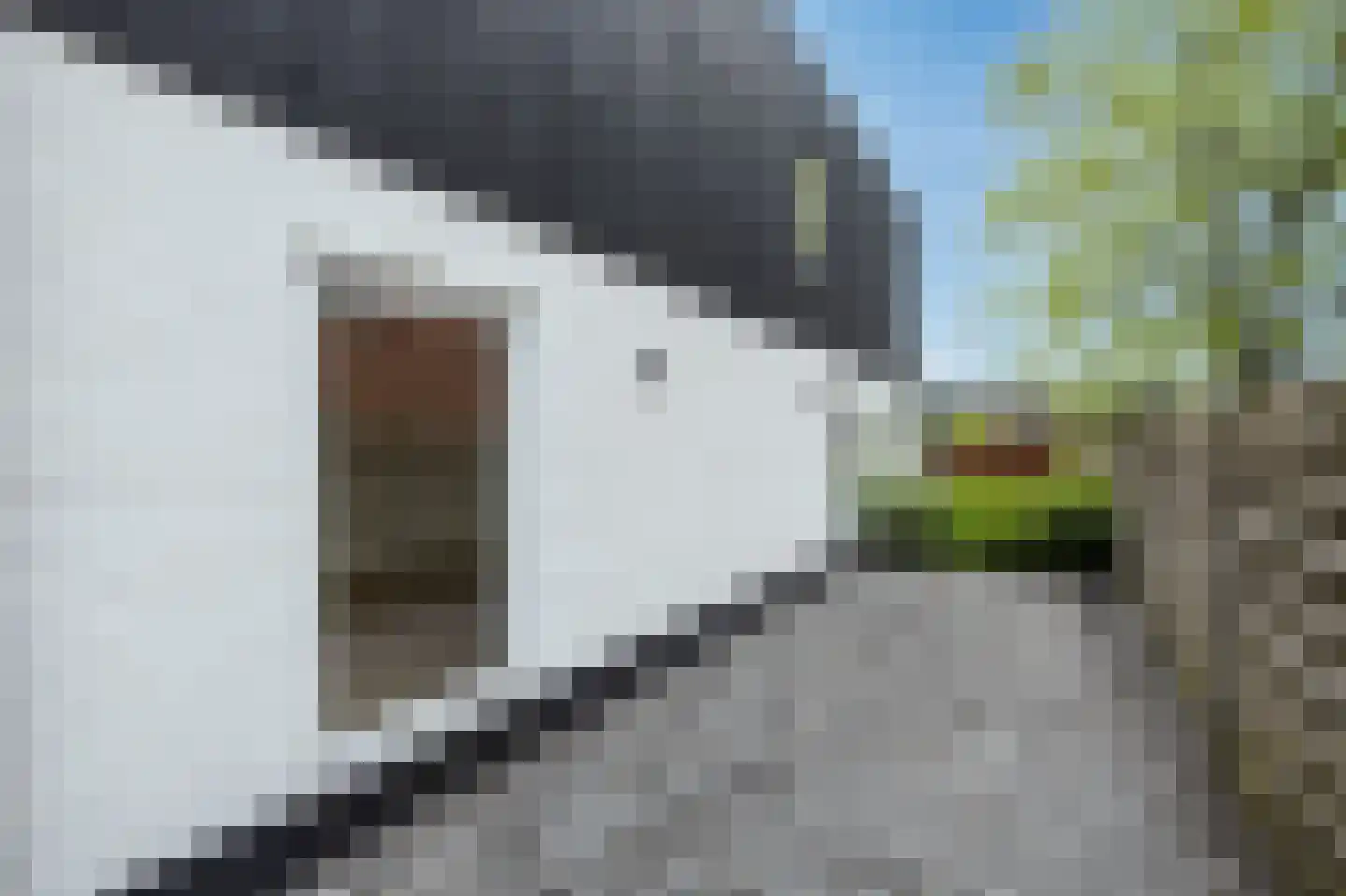 Grazenseweg 53 Strijbeek thumbnail 36