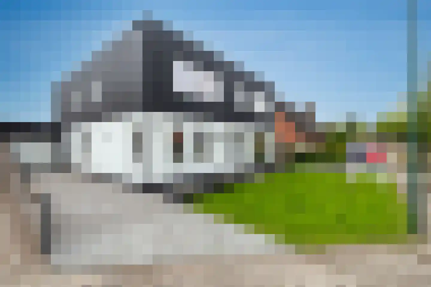 Grazenseweg 53 Strijbeek thumbnail 38