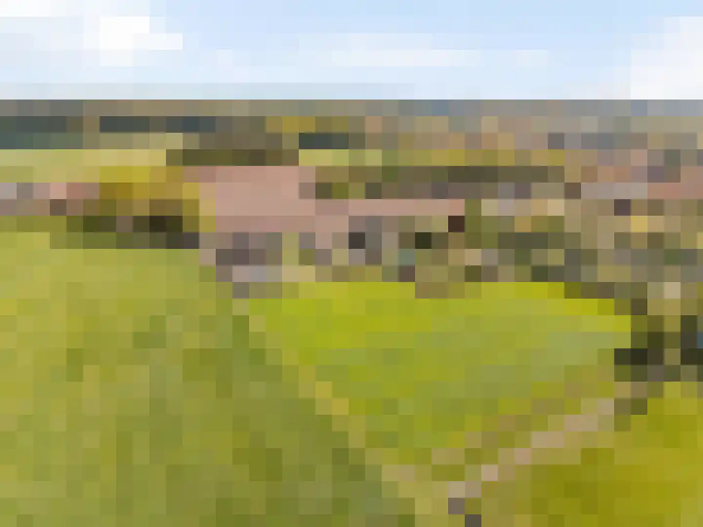 Grazenseweg 7 Strijbeek thumbnail 27