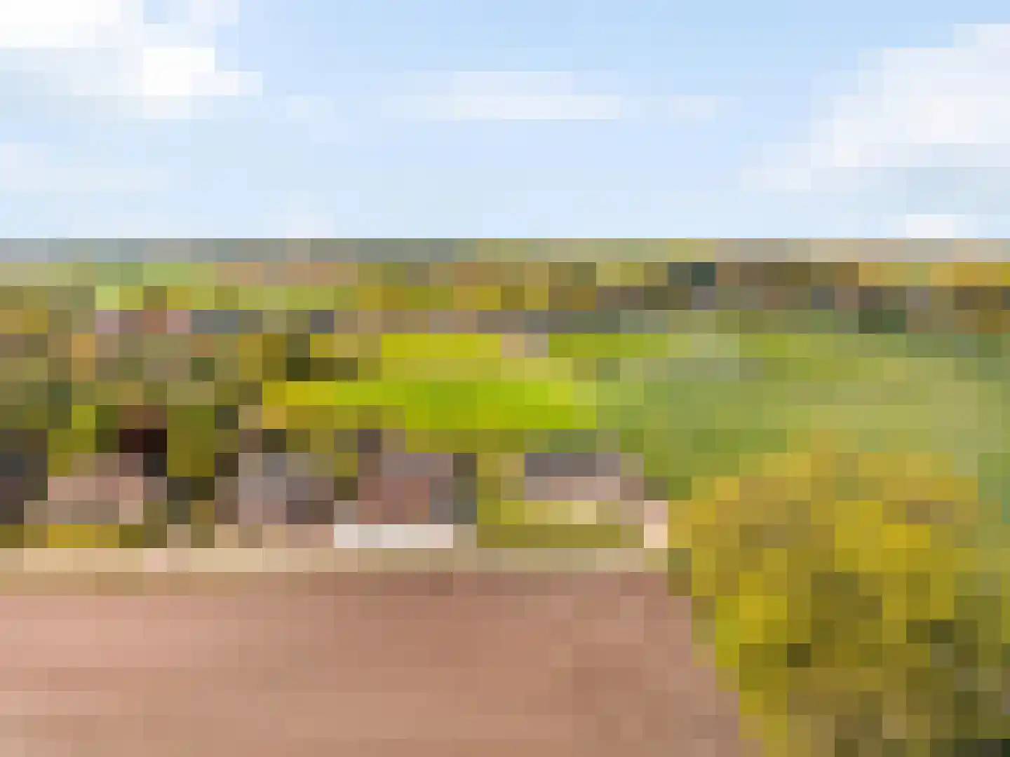 Grazenseweg 7 Strijbeek thumbnail 31