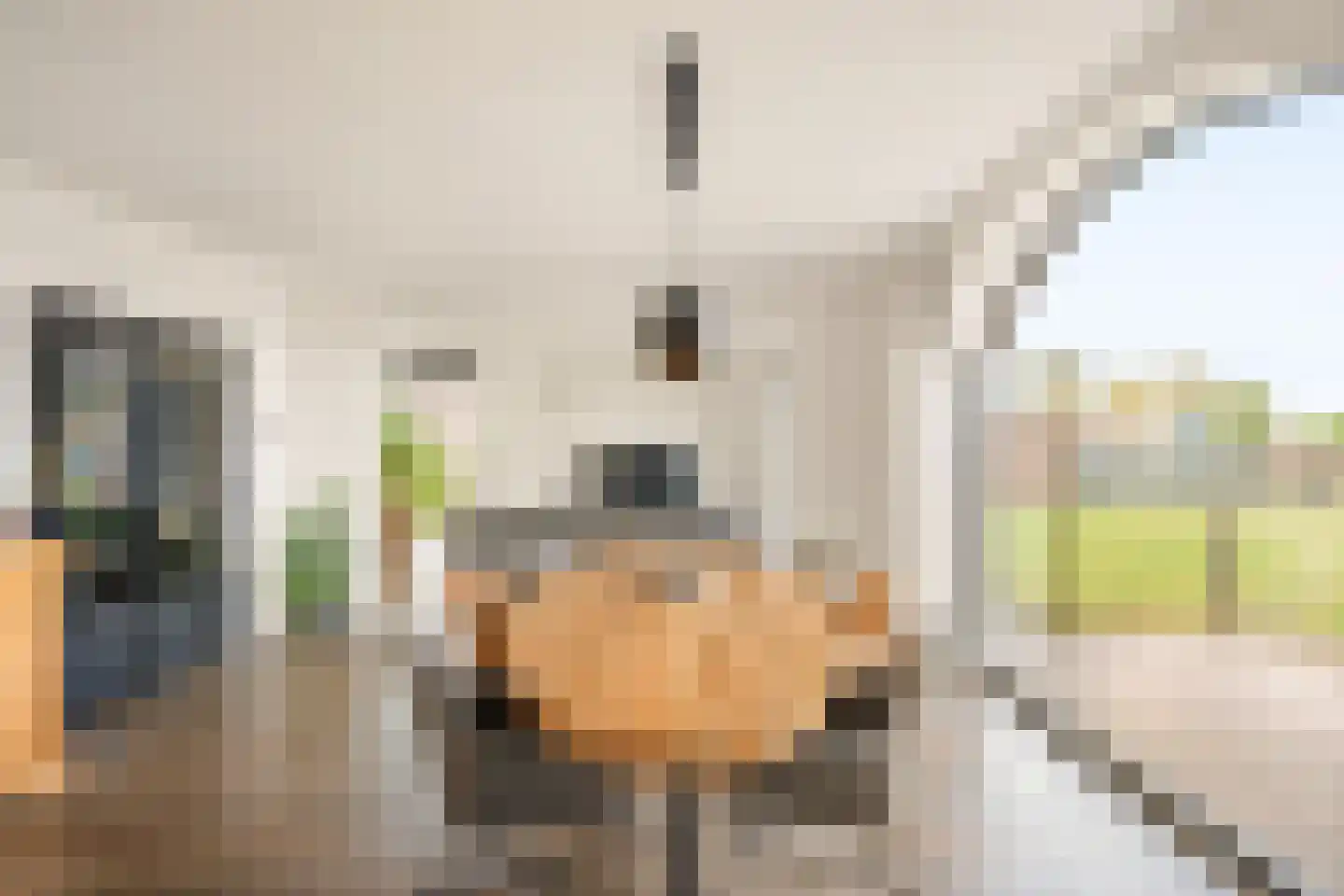 Grazenseweg 7 Strijbeek thumbnail 7