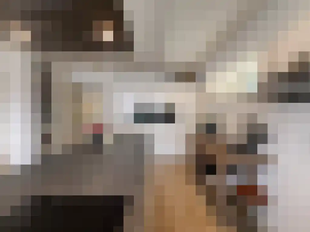 Greate Buorren 19 Wirdum thumbnail 5