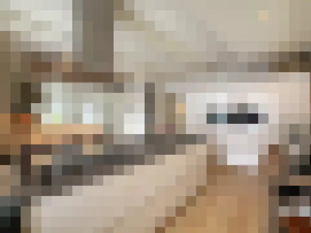 Greate Buorren 19 Wirdum thumbnail 6