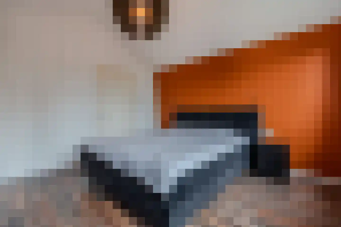 Greate Buorren 3 Weidum thumbnail 30