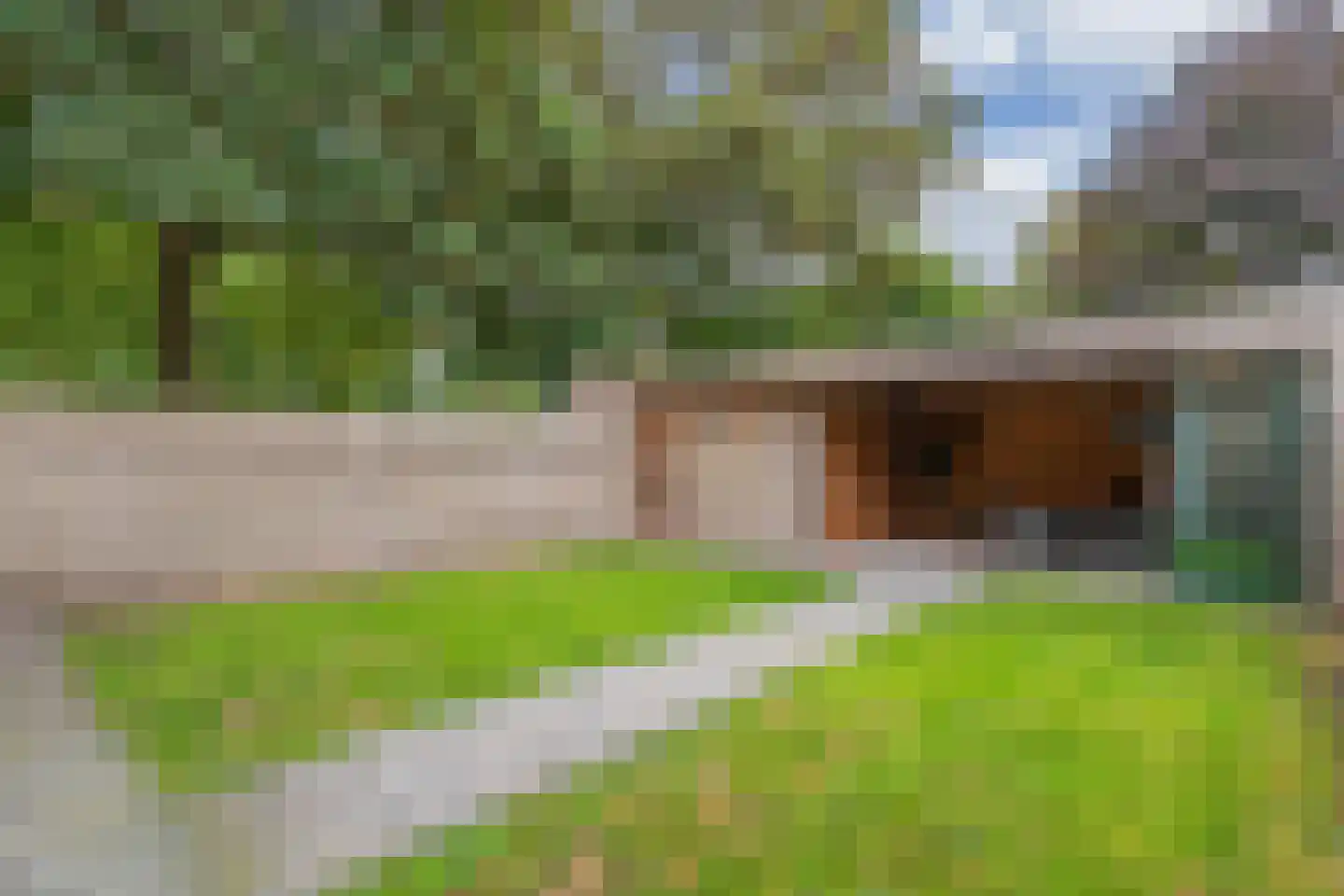 Greate Buorren 3 Weidum thumbnail 43