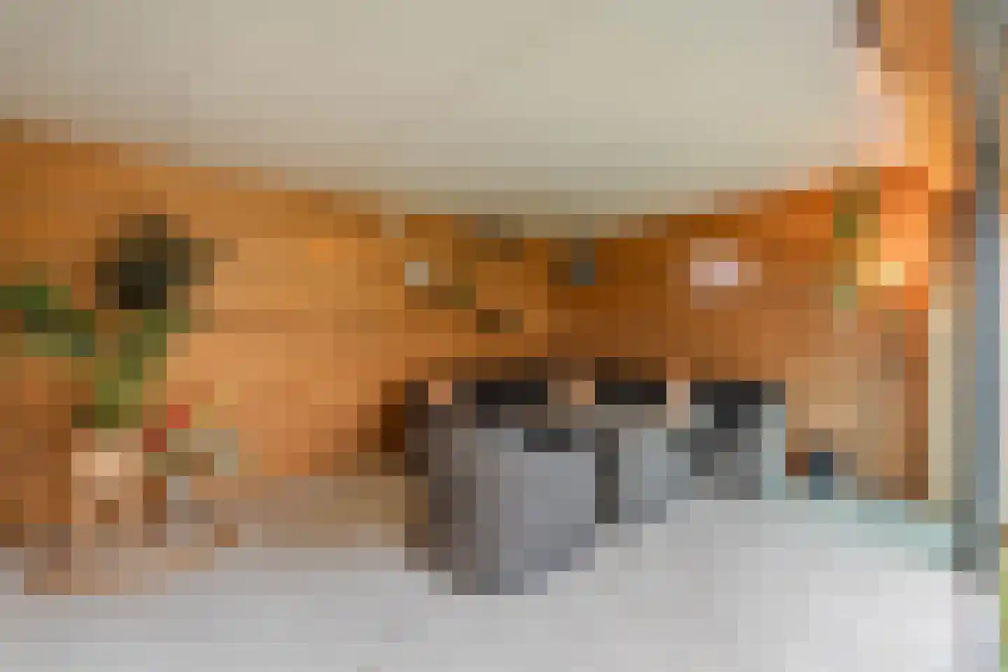 Greate Buorren 3 Weidum thumbnail 48