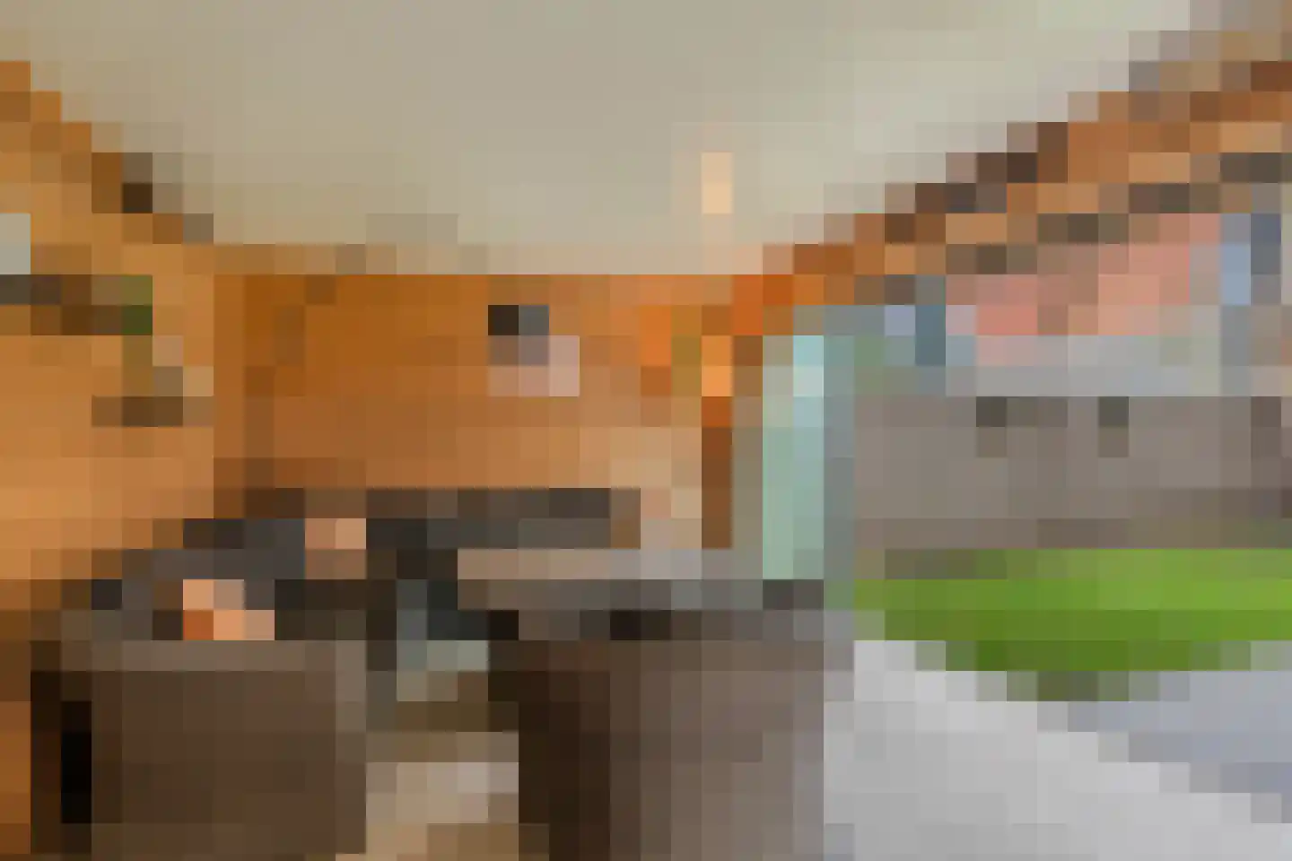 Greate Buorren 3 Weidum thumbnail 49