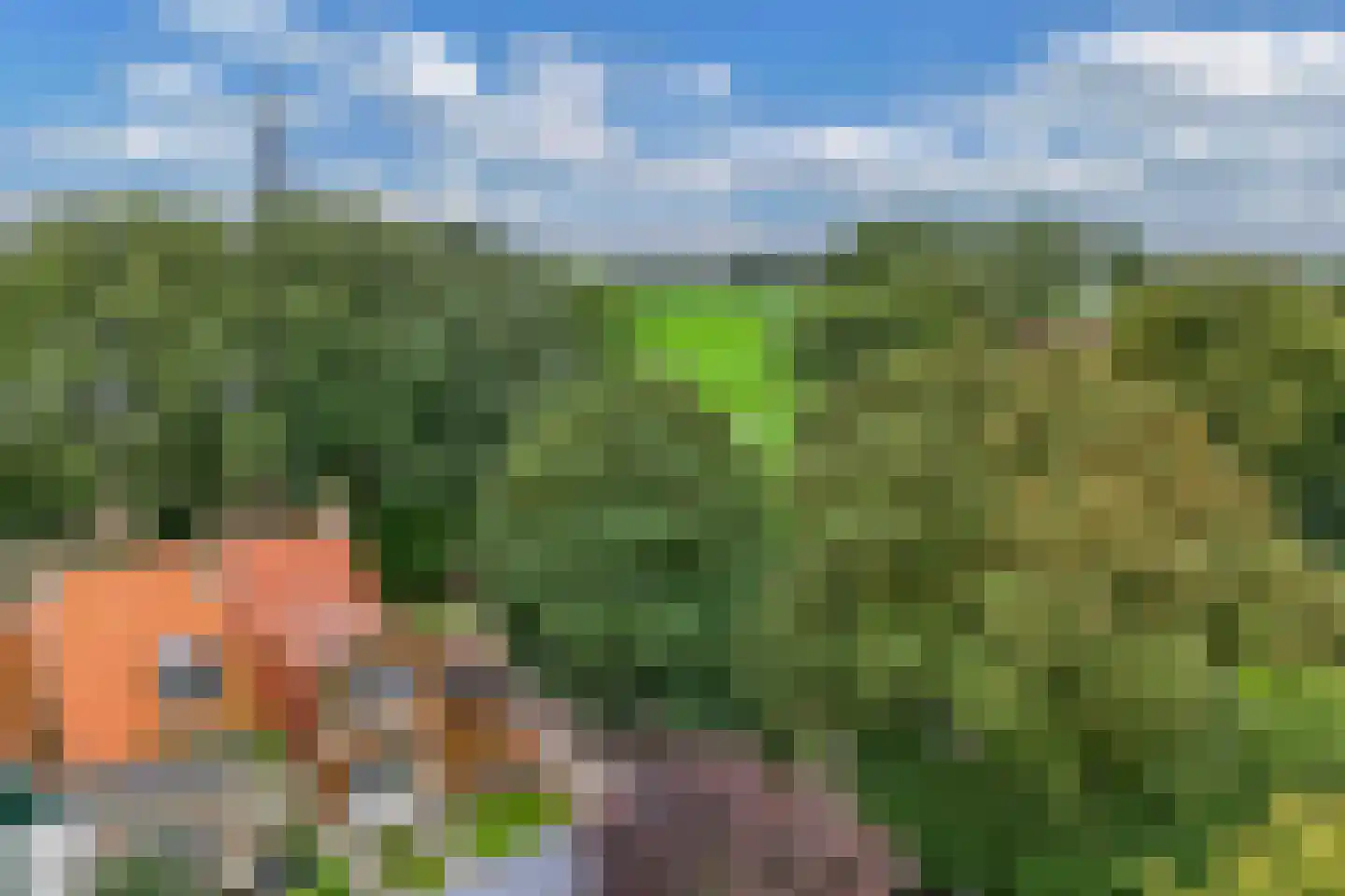 Greate Buorren 3 Weidum thumbnail 54
