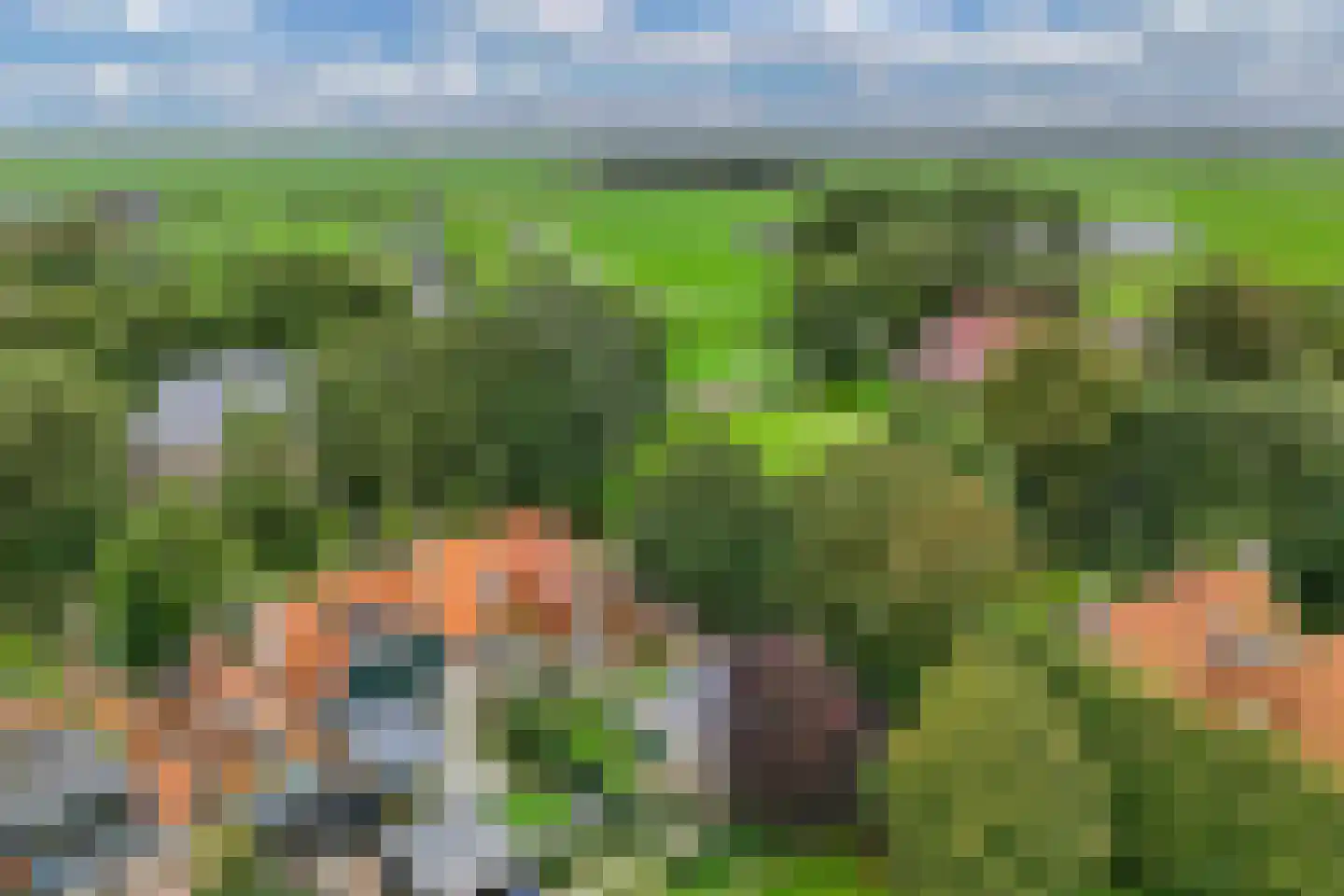 Greate Buorren 3 Weidum thumbnail 55
