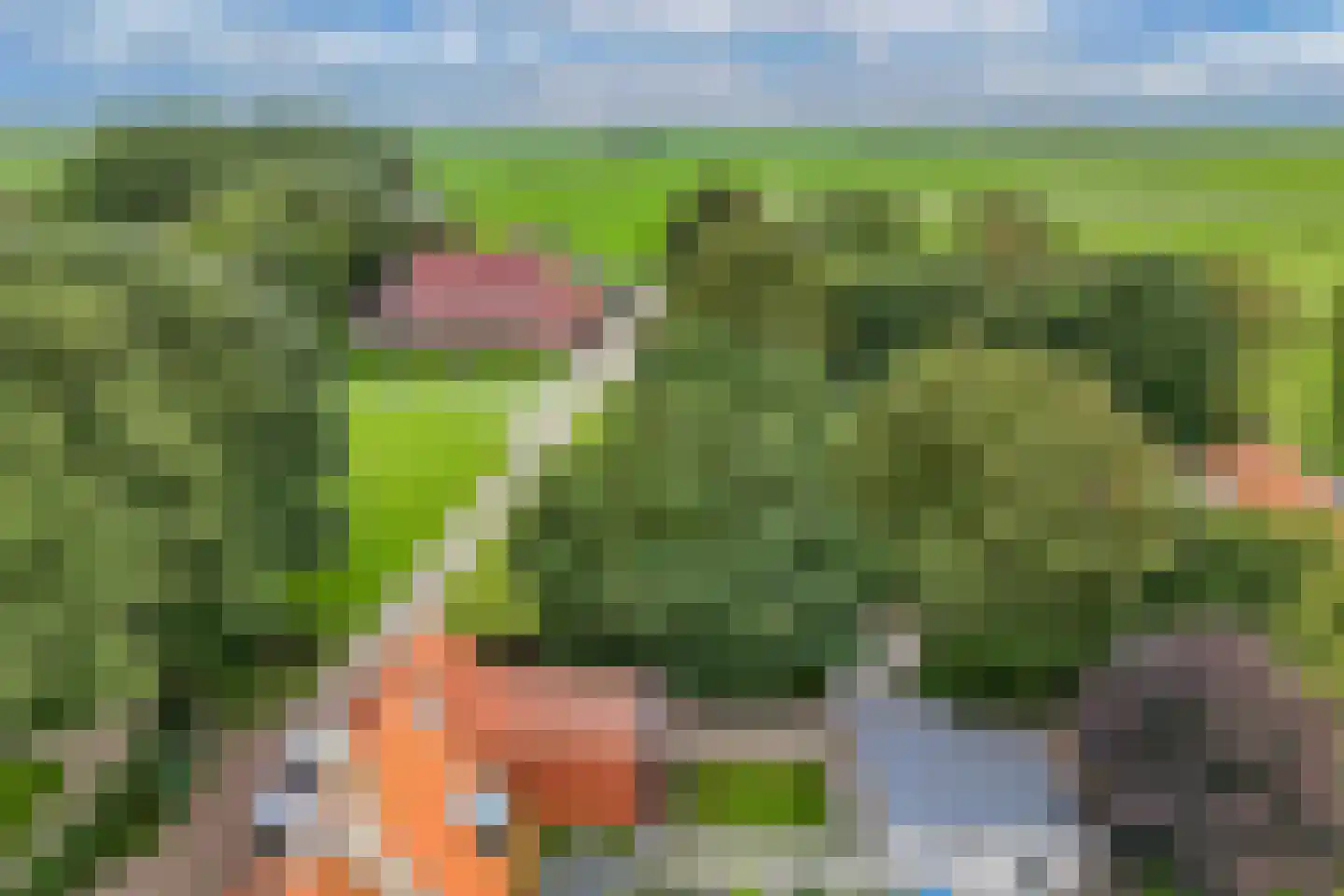 Greate Buorren 3 Weidum thumbnail 57