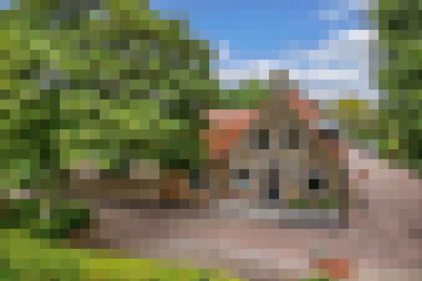 Greate Buorren 3 Weidum thumbnail 59