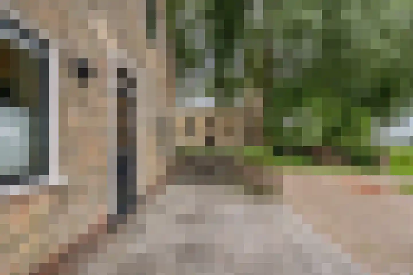 Greate Buorren 3 Weidum thumbnail 7