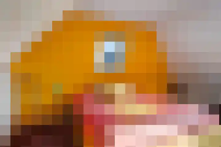 Greate Buorren 33 Weidum thumbnail 22