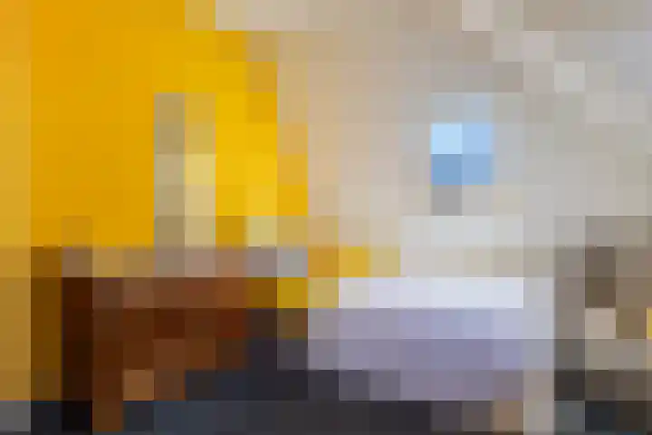 Greate Buorren 33 Weidum thumbnail 24