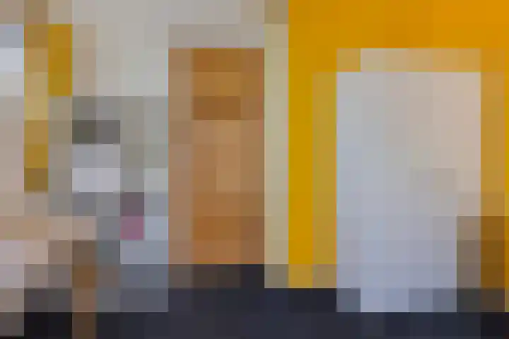 Greate Buorren 33 Weidum thumbnail 26
