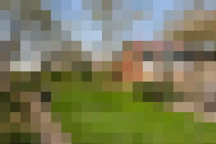 Greate Buorren 33 Weidum thumbnail 31