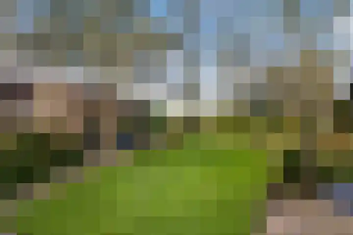 Greate Buorren 33 Weidum thumbnail 32